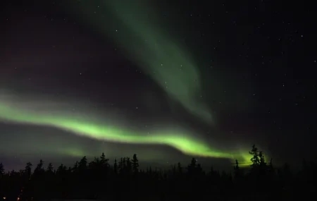 Free download Nature Landscape Trees Sky Stars Aurora Night Green Computer Wallpaper 4K Wallpaper, Wallpaper(s)