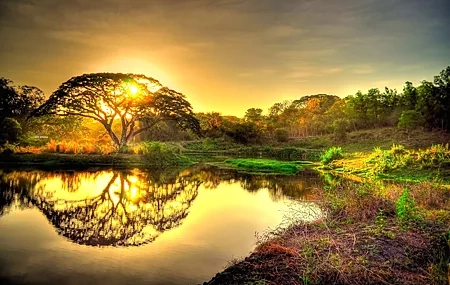 Free download Nature Landscape Trees Sunset Sunlight Plants Water Sky Computer Wallpaper 4K Wallpaper, Wallpaper & 7wallpaper