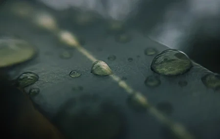 Free download Water Drops Leaves Nature Landscape Fresh Healing Computer Wallpaper 4K Wallpaper, Wallpaper & 7wallpaper