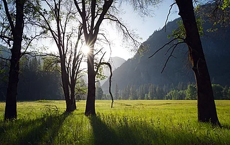 Free download Grass Trees Mountains Sunshine Nature Computer Wallpaper 4K Wallpaper, Wallpaper(s)