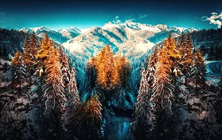 Free download Winter Forest Snow Nature Landscape Mountain Tree Snow Peak Computer Wallpaper 4K Wallpaper, Wallpaper(s)