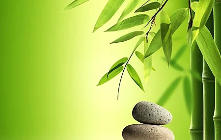 Free download Bamboo Rocks Leaves Green Fresh Healing Computer Wallpaper 4K Wallpaper, Wallpaper(s)