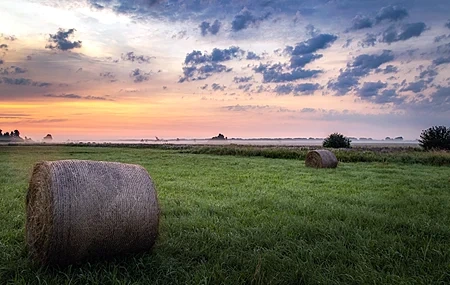 Free download Field Plants Outdoor Sky Sunlight Horizon Mist Grass Nature Computer Wallpaper 4K Wallpaper, Wallpaper(s)
